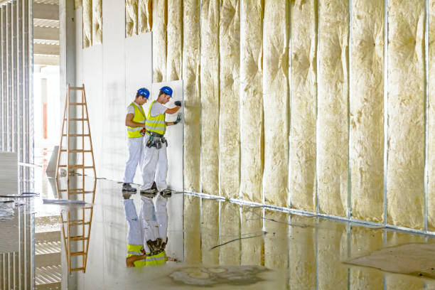Best Residential Insulation in Goodwater, AL